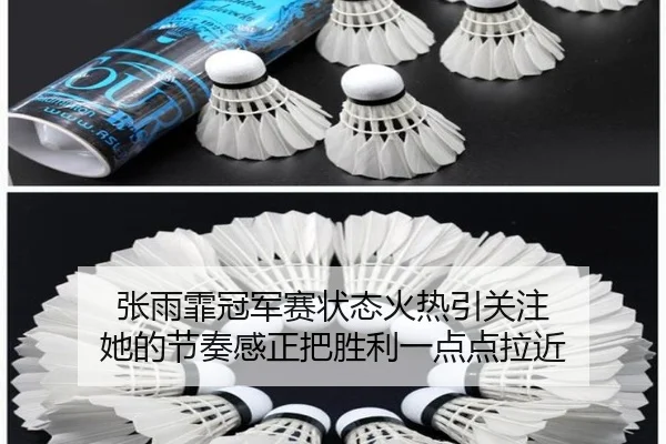 张雨霏冠军赛状态火热引关注 她的节奏感正把胜利一点点拉近（kaiyun）